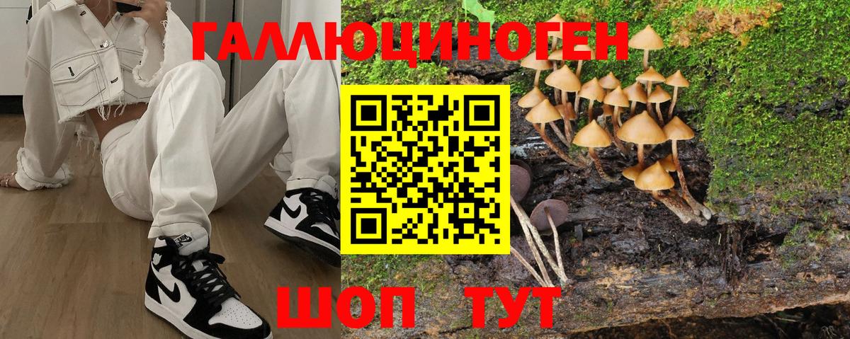 Псилоцибиновые грибы ЛСД  Вход с VPN  Лобня  Псилоцибиновые грибы MAGIC MUSHROOMS 