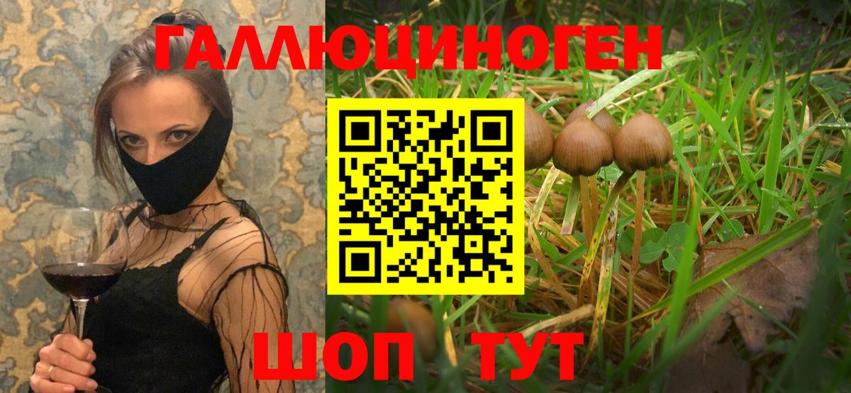 Галлюциногенные грибы ЛСД Лобня